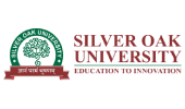 logo 13