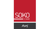 logo 20