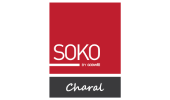 logo 20