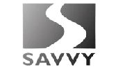 logo 20